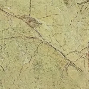 RAINFOREST GREEN BRIGHT — natūralus akmuo