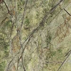 RAINFOREST GREEN — natūralus akmuo